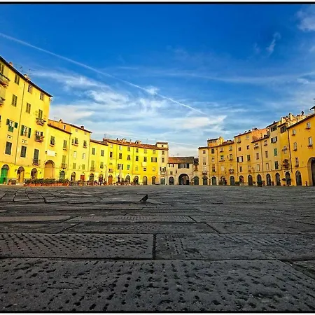 Shanty Appartement Lucca