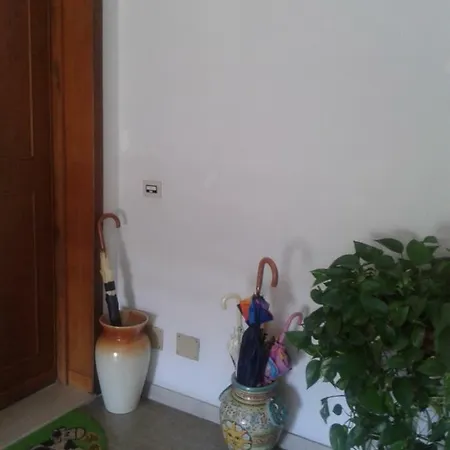 Shanty Apartment